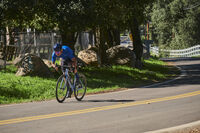 GIANT TCR Advanced 0 Di2 click to zoom image